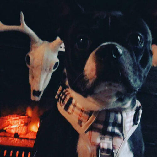 IMG_20210701_135841_646