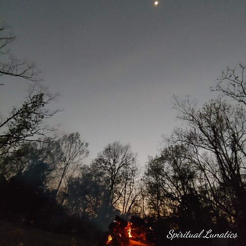 0320211952_HDR