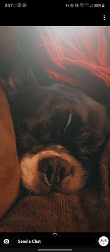 Screenshot_20211005-155748