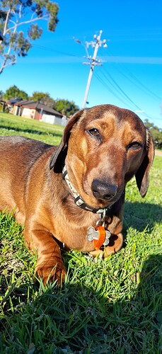 20210815_155414_resized