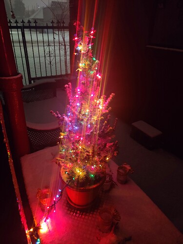 IMG_20201216_174406__01