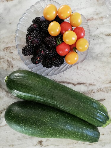 Morning Garden Treasures