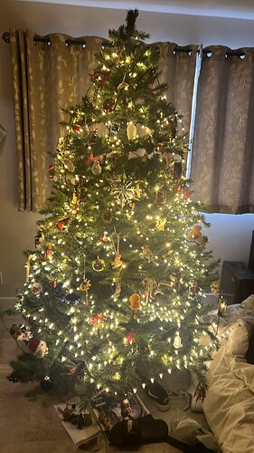 IMG_0566