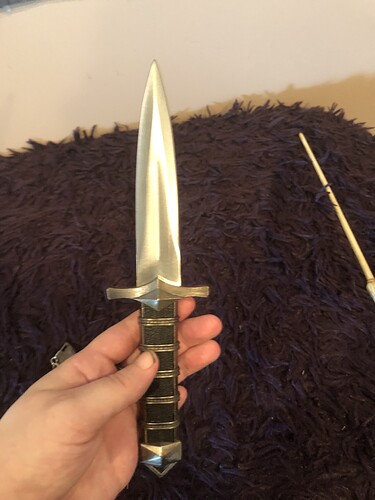 93317A0F-447E-4FD5-B1C5-23B5D9434599