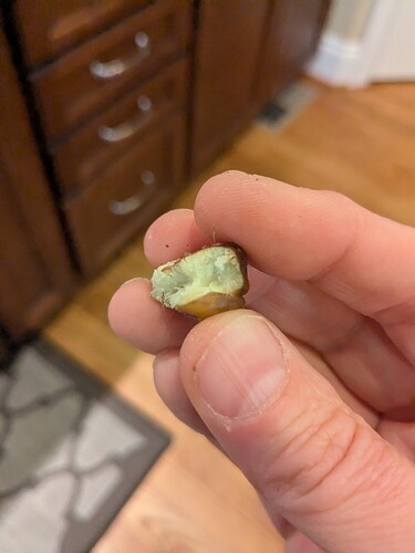 PXL_20251016_203345610