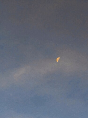 Quarter moon
