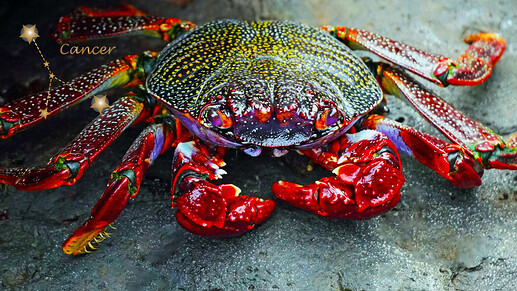 Cancerpixabaycrab