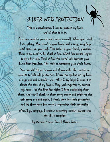 Spider Web Protection