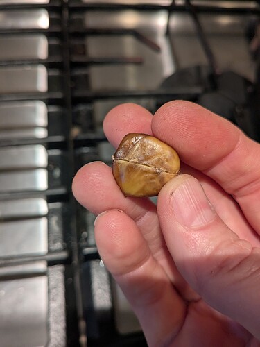 PXL_20251016_203330026