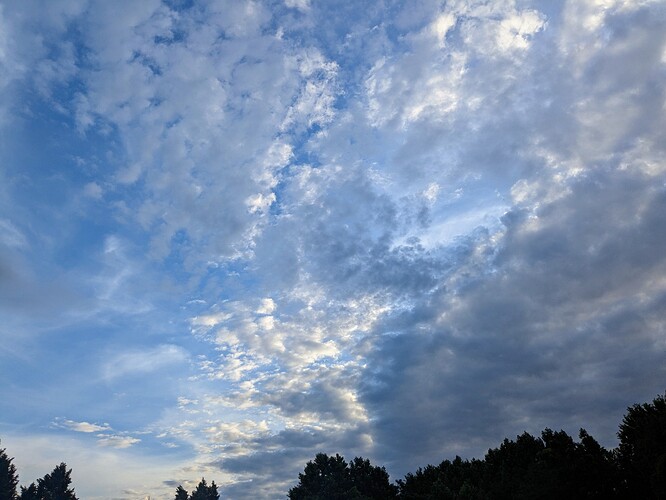 PXL_20250719_110443061