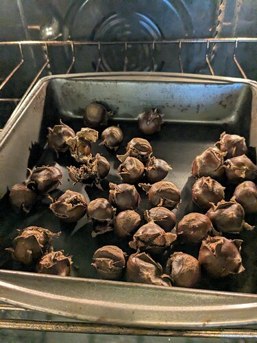 PXL_20251016_202547729