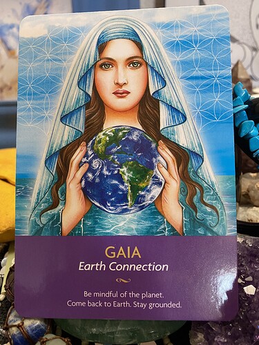 Gaia Earth Connection