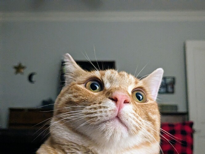 PXL_20231108_120239812.PORTRAIT.ORIGINAL