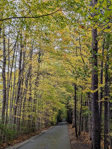 PXL_20251029_170225635.PORTRAIT.ORIGINAL~2