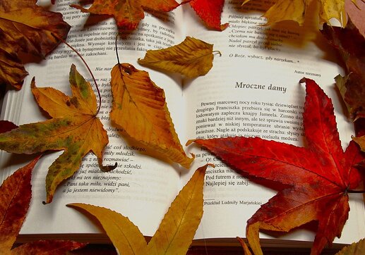 leaves and pages