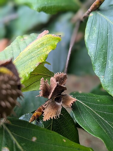 PXL_20251008_175011123.PORTRAIT~2