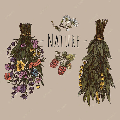 1186c0b48444947110264414d61e4ab04526227a_2_750x750