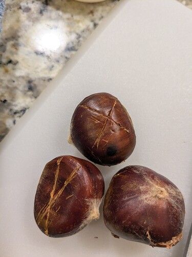 PXL_20251016_200736370