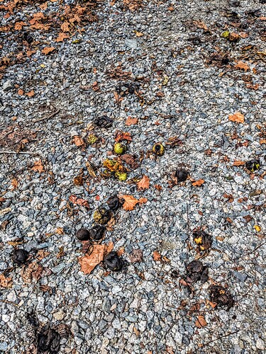 PXL_20251008_170619366~2