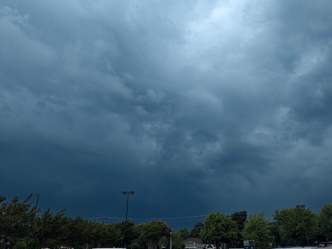 PXL_20240606_195406940.MP~2