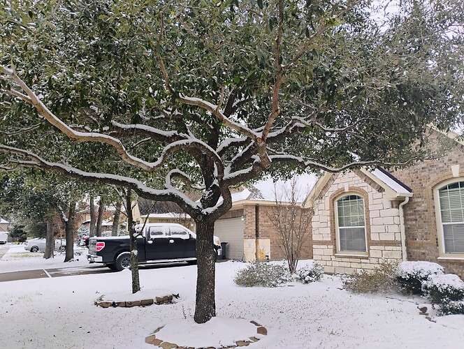IMG_20250121_101953990_HDR_AE