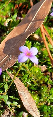 20230305_094237_resized