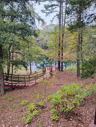 IMG_20251028_101058138_HDR_AE