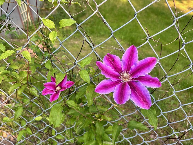 image0 (1)
