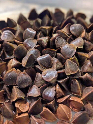 PXL_20251008_183518350.PORTRAIT~2