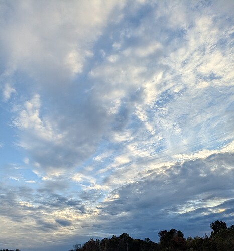 PXL_20251026_121106210