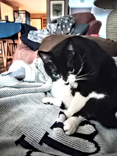 IMG_20230216_113202456~2