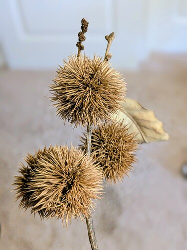 14e740f6-b795-42b3-8703-a8623df1acc7~1