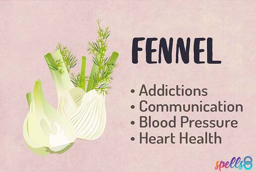 Magical-Properties-Uses-of-Fennel
