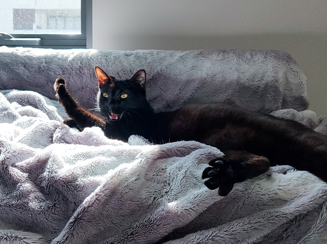 IMG20231019152056 (1)