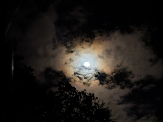 PXL_20251008_025855371.NIGHT~2