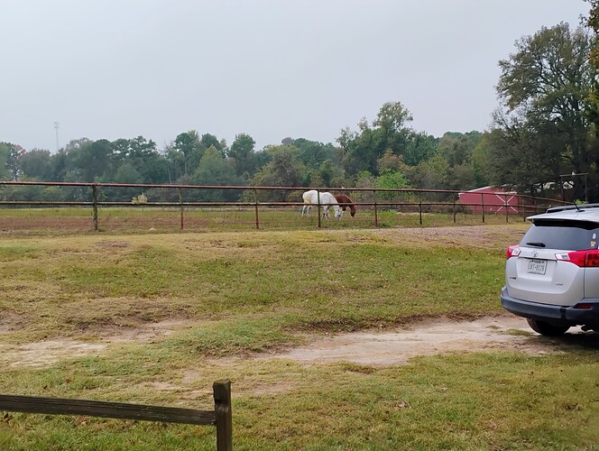 IMG_20251028_122139459_AE