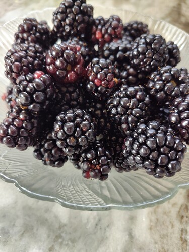 blackberries