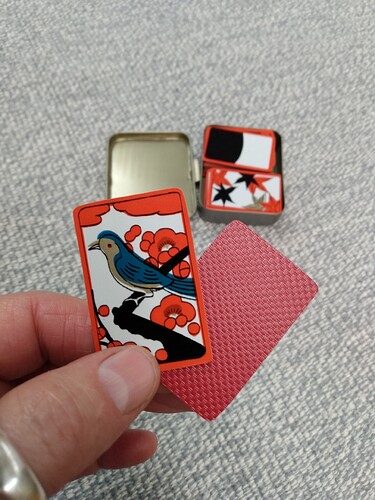 IMG_20251113_060535229