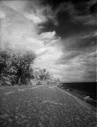 Point Pelee beach north view, resized