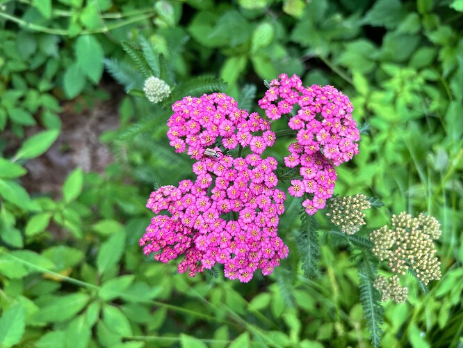 image3 (1)
