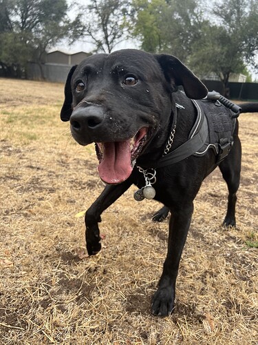 0ABB5347-F7A5-4C12-A0A8-65CCF86D39B8