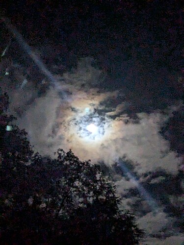 PXL_20251008_025933111~3