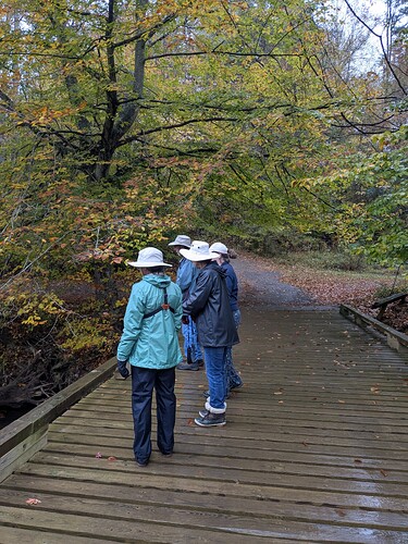 PXL_20251027_132806456(1)