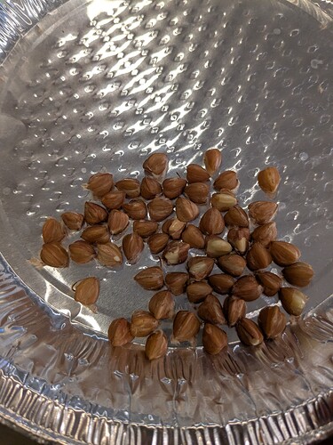 PXL_20251016_195024598