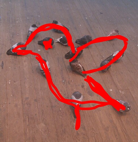 Screenshot_2024-02-12-18-54-54-61