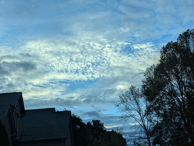 PXL_20251026_120843675