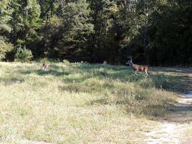 FB_IMG_1762148348102