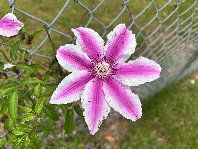 image3 (4)
