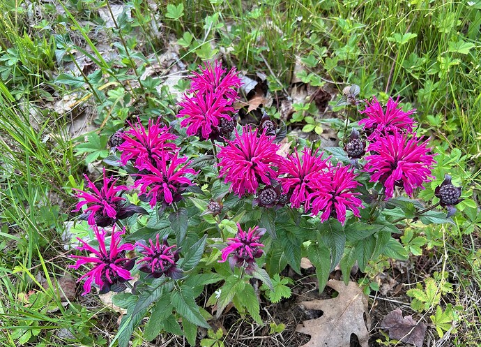 image3 (2)