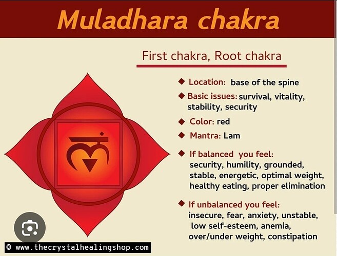 Screenshot_20250908_095944_Chrome